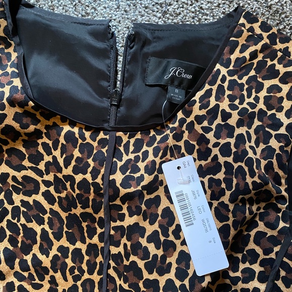 J crew sheath dress in bi stretch cotton - Picture 5 of 5